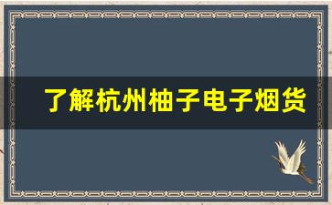 了解杭州柚子电子烟货源的优势与选择