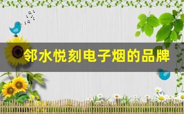 邻水悦刻电子烟的品牌形象与消费者反馈