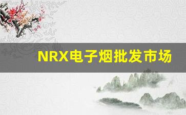 NRX电子烟批发市场的最新动态与货源分析