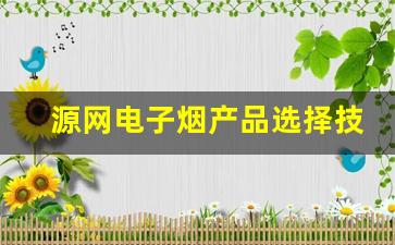 源网电子烟产品选择技巧与建议