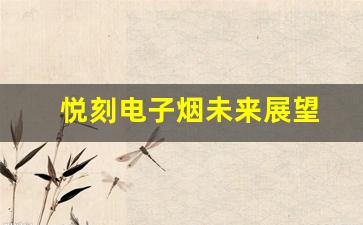 悦刻电子烟的未来展望：从产品到市场策略