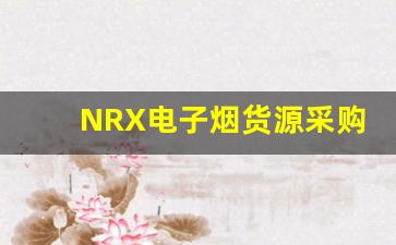 NRX电子烟货源采购技巧与注意事项