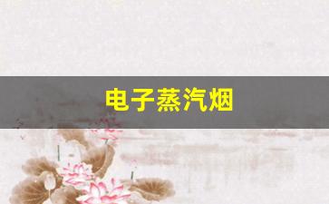 选择电子蒸汽烟货源时需要注意的关键因素