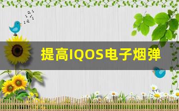 提高IQOS电子烟弹采购效率的技巧