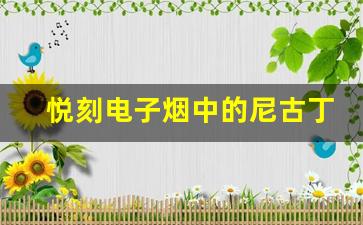 悦刻电子烟中的尼古丁含量对吸烟者健康的影响