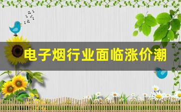 电子烟行业面临涨价潮，悦刻如何应对