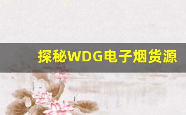 探秘WDG电子烟货源市场，如何找到靠谱批发渠道