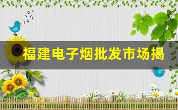 福建电子烟批发市场揭秘：从哪里找到可靠货源