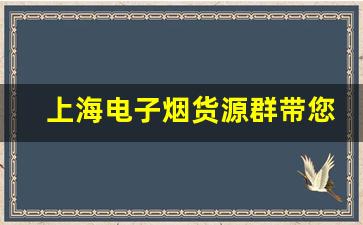 上海电子烟货源群带您了解最新行业趋势和产品动态