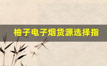 柚子电子烟货源选择指南，如何找到可靠供应商