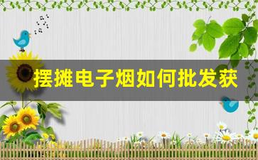 摆摊电子烟如何批发获取，掌握这几种方式