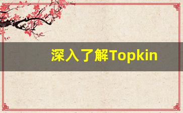 深入了解Topking电子烟货源，掌握批发流程