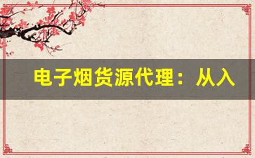 电子烟货源代理：从入门到精通的全流程指南
