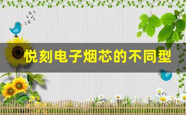 悦刻电子烟芯的不同型号特点与选择指南