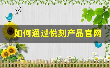 如何通过悦刻产品官网选购适合你的电子烟设备