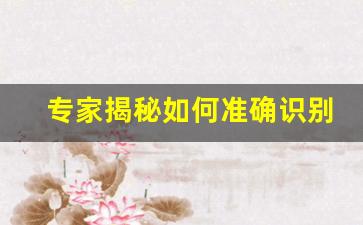 专家揭秘如何准确识别悦刻烟弹真假