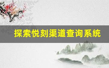 探索悦刻渠道查询系统的核心功能与优势