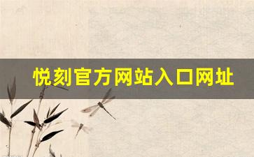 悦刻官方网站入口网址访问方法全面解读