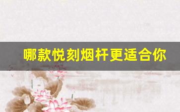 哪款悦刻烟杆更适合你的吸烟需求