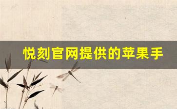 悦刻官网提供的苹果手机APP下载指南