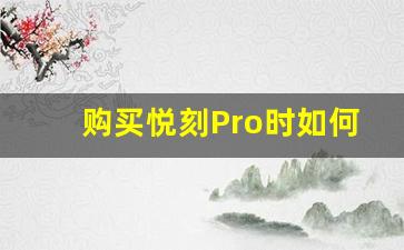 购买悦刻Pro时如何确保是真货