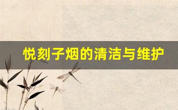悦刻子烟的清洁与维护方法